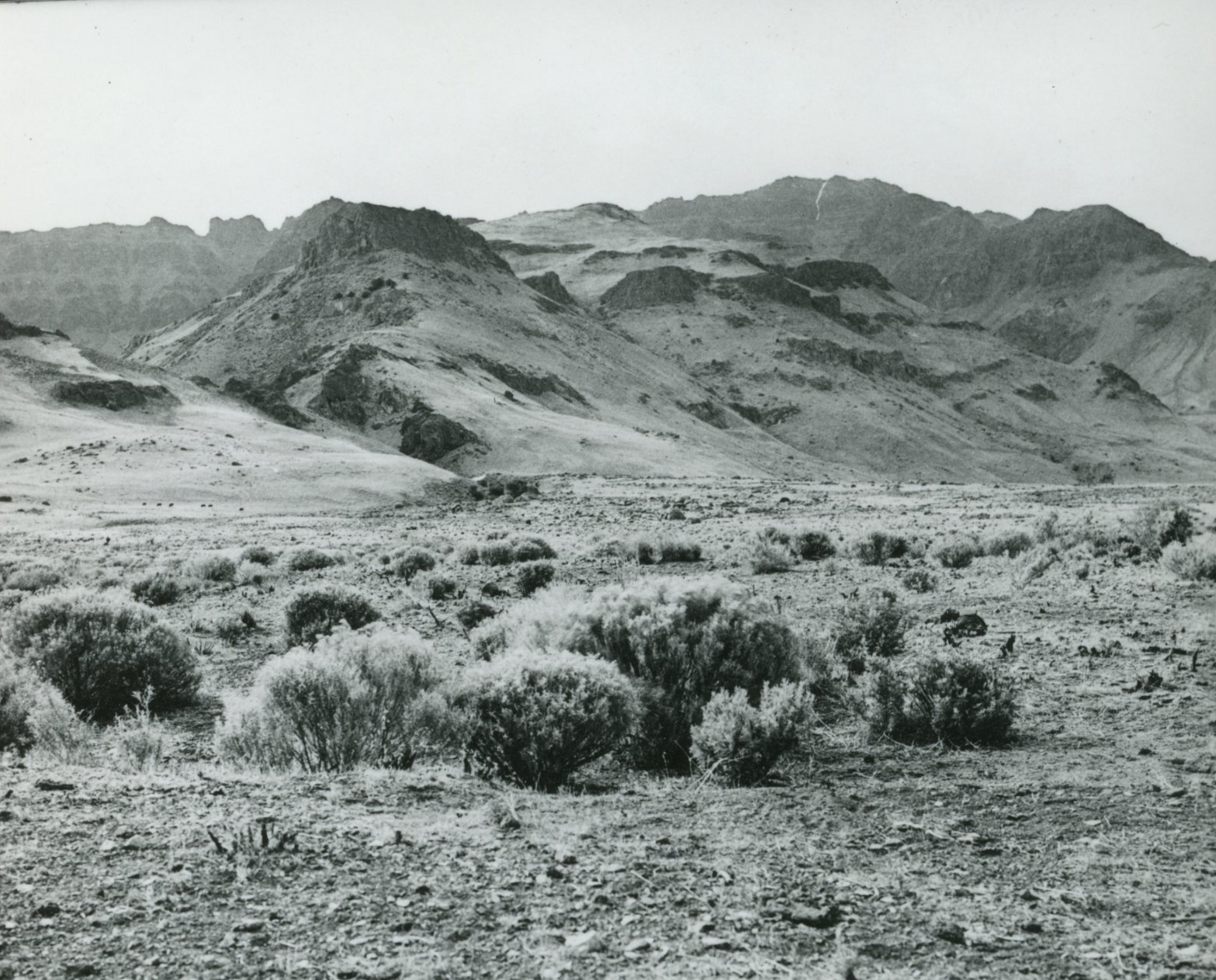 High Desert History: Southeastern Oregon