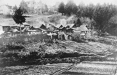 Chinese Vegetable Gardens, Portland