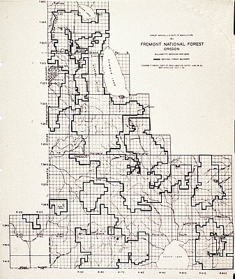 Fremont National Forest, 1911