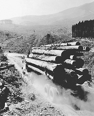 Log Truck Stirs Dust through Clearcut