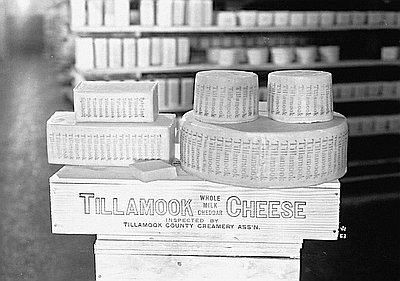Tillamook Cheddar Cheese // OrHi 18453