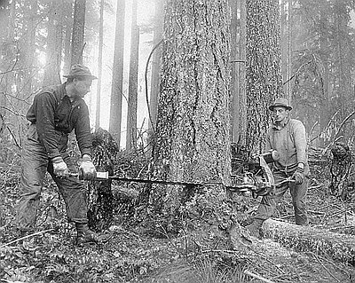 Timbermen Using Chainsaw, Lacomb