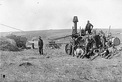 Wheat Harvesting, Sherman County