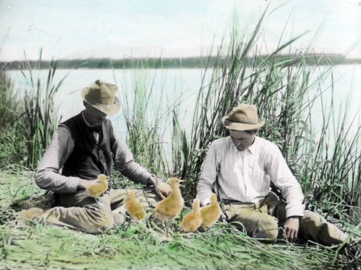 William L. Finley (right) and Herman Bohlman, Klamath Marsh, about 1905.