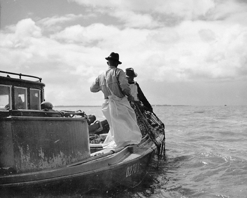 Gillnet Fishing near Astoria