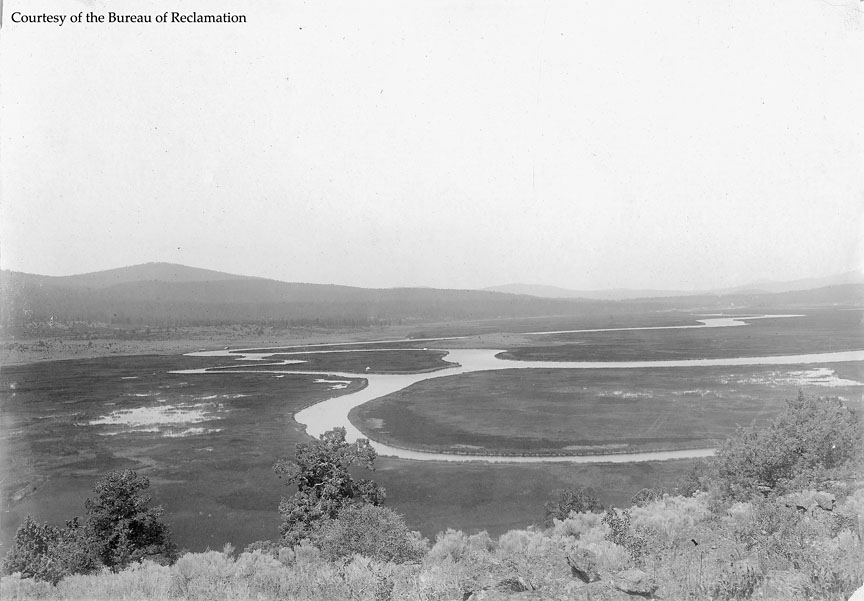 Lower Klamath Marshes