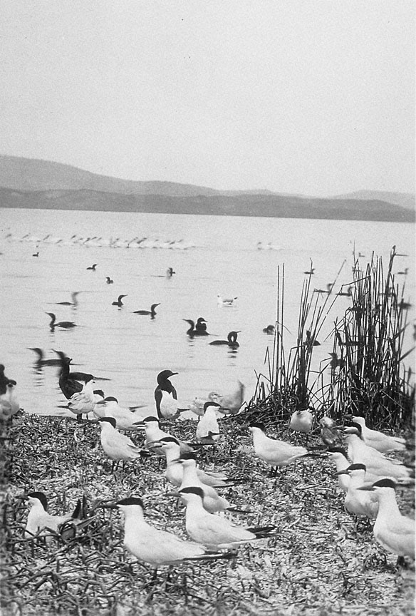 Nature and History in the Klamath Basin