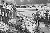 New Western History as Fish Tale, by Elliott West