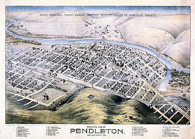 Bird's-Eye View of Pendleton